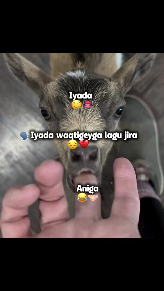 TikTok video thumbnail by toti_563