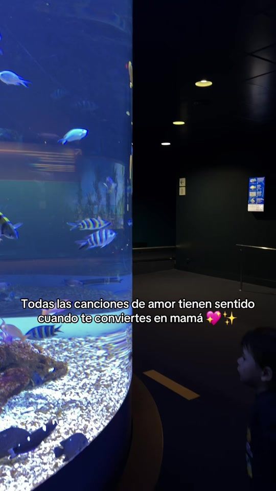 TikTok video thumbnail by evelyn_aylenm