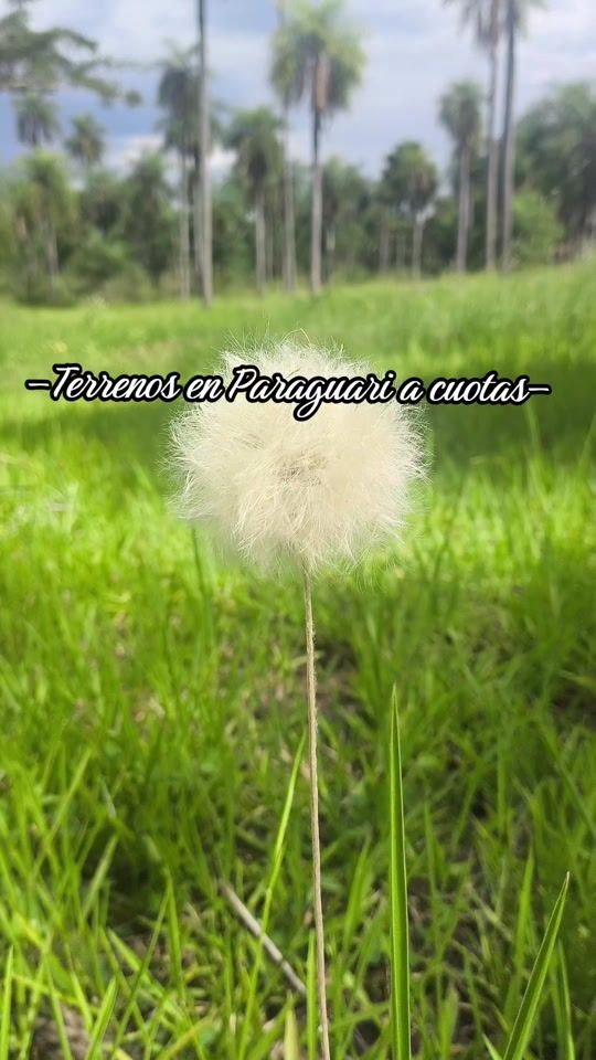 TikTok video thumbnail by be_locio