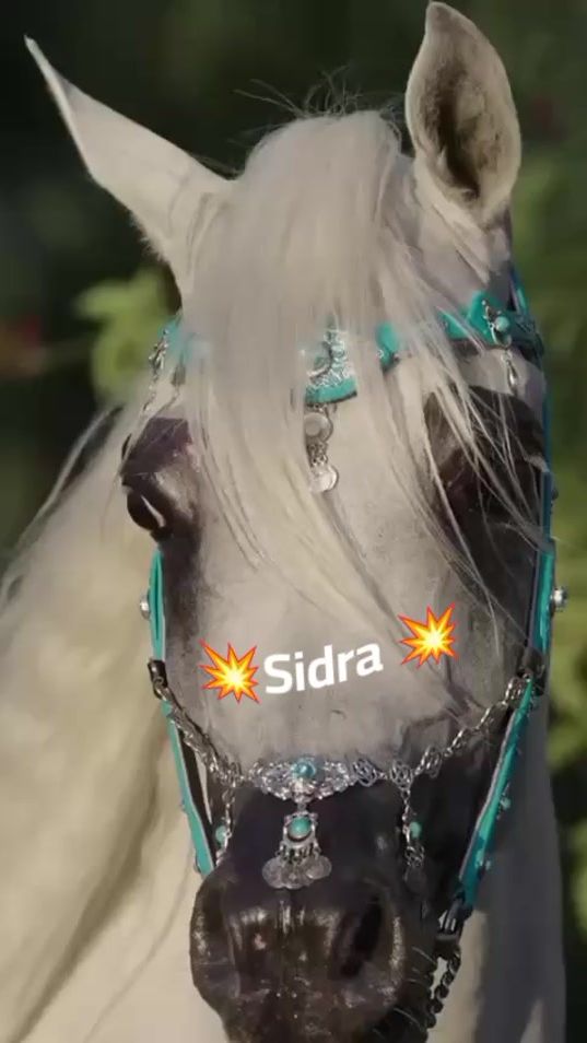 TikTok video thumbnail by bintalsudairy