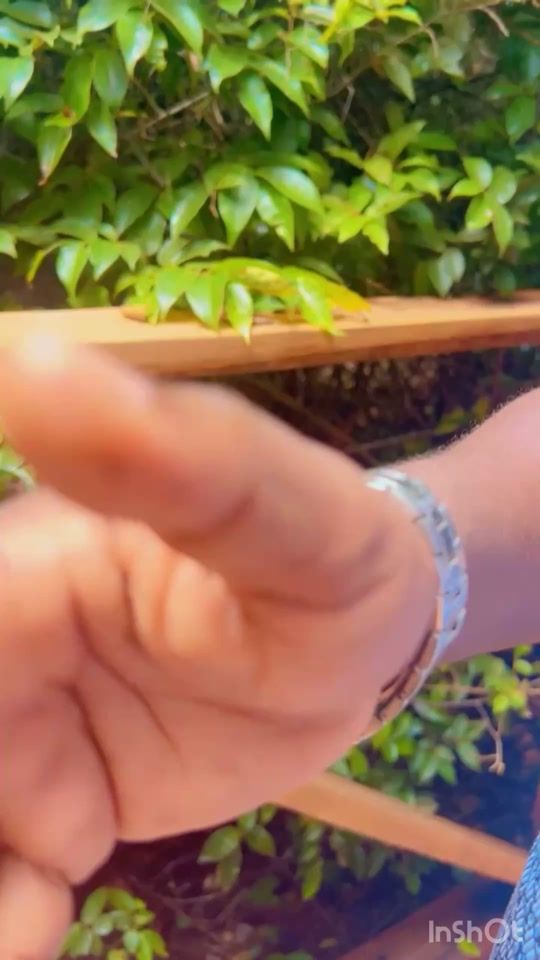 TikTok video thumbnail by makupaidrissa