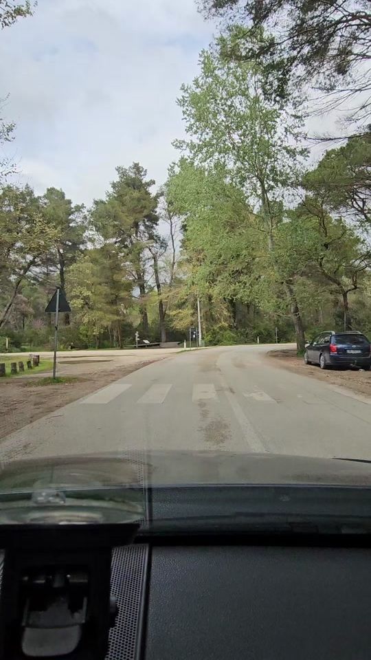 TikTok video thumbnail by wwddd44