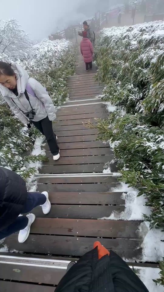 TikTok video thumbnail by 12345678sroy