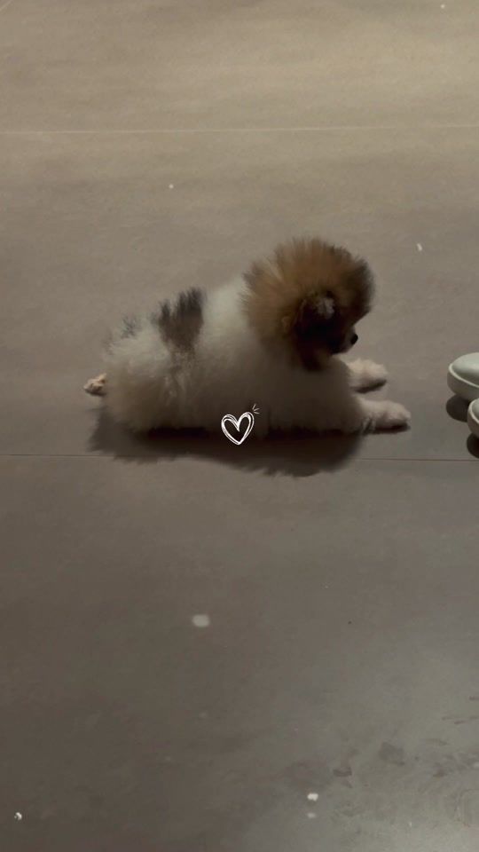 TikTok video thumbnail by bchauar