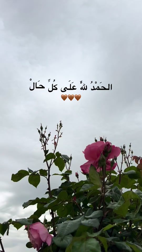 TikTok video thumbnail by o.ahmad6