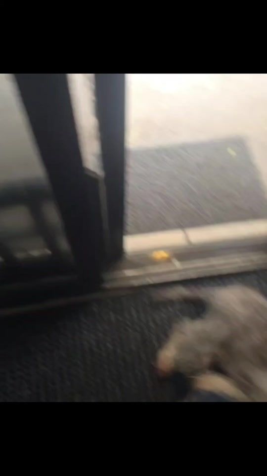 TikTok video thumbnail by yuditbaromyu