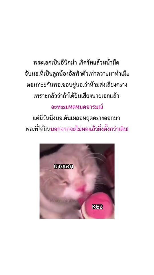 TikTok video thumbnail by bel_bixel