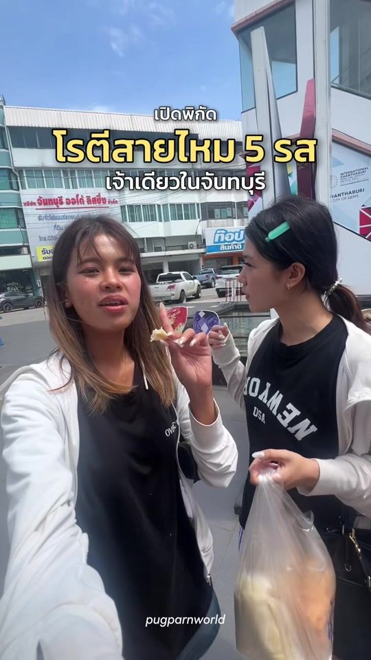 TikTok video thumbnail by pugparnworld