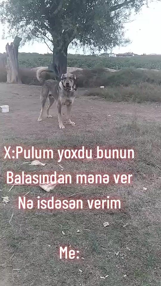 TikTok video thumbnail by iam_namiq_011