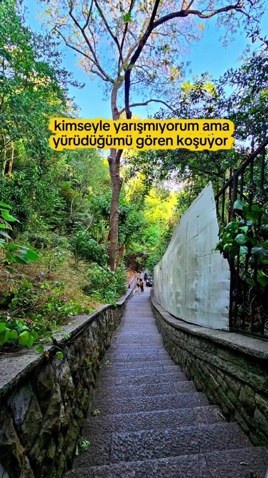 TikTok video thumbnail by ayemfayn_