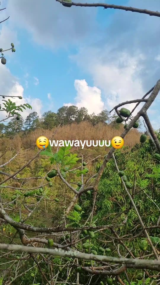 TikTok video thumbnail by soyjosue2002gmail.com