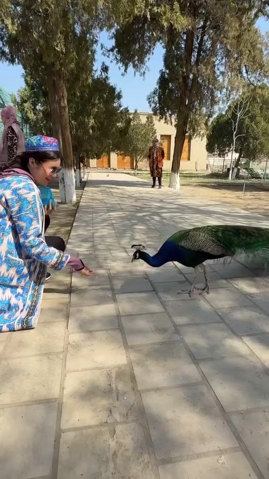 TikTok video thumbnail by hilola_tt