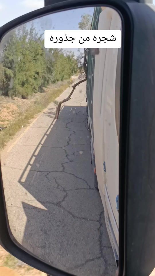 TikTok video thumbnail by user94567442279083