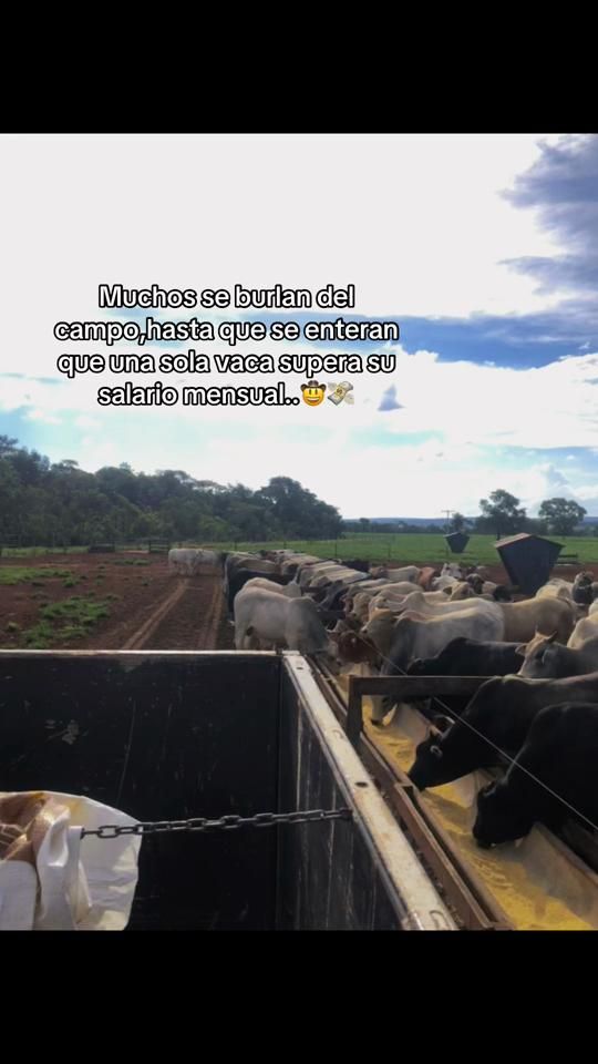 TikTok video thumbnail by coronel77701