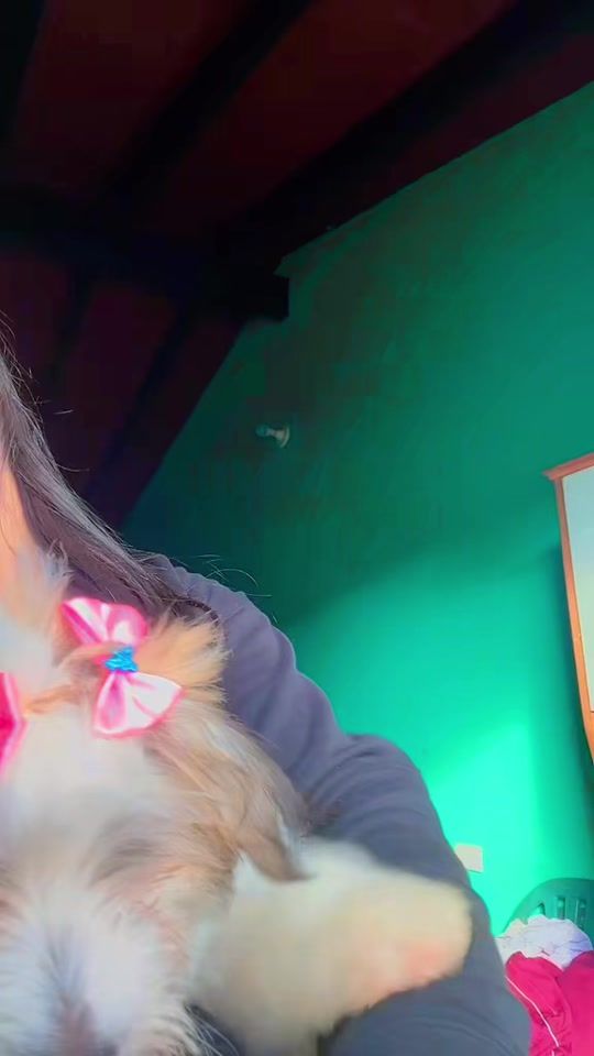 TikTok video thumbnail by andreaduarte137