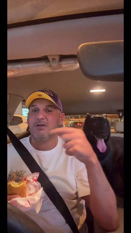TikTok video thumbnail by xdogschool