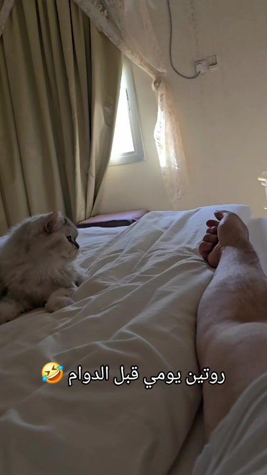 TikTok video thumbnail by luska_moroco