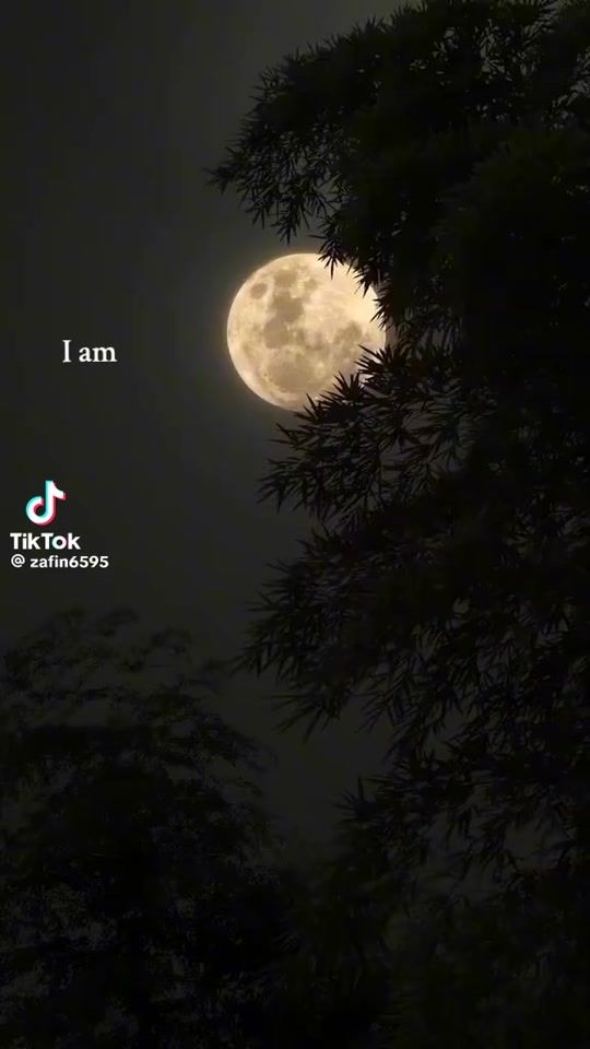 TikTok video thumbnail by dudufedezchavez