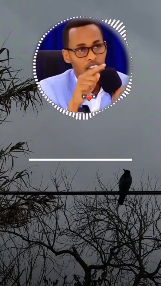 TikTok video thumbnail by abdirahman14433