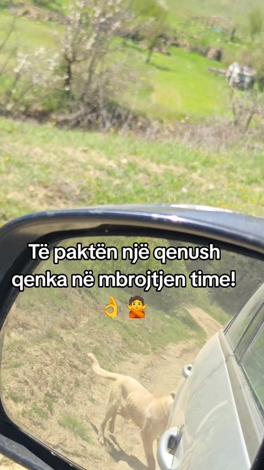 TikTok video thumbnail by agroberasi