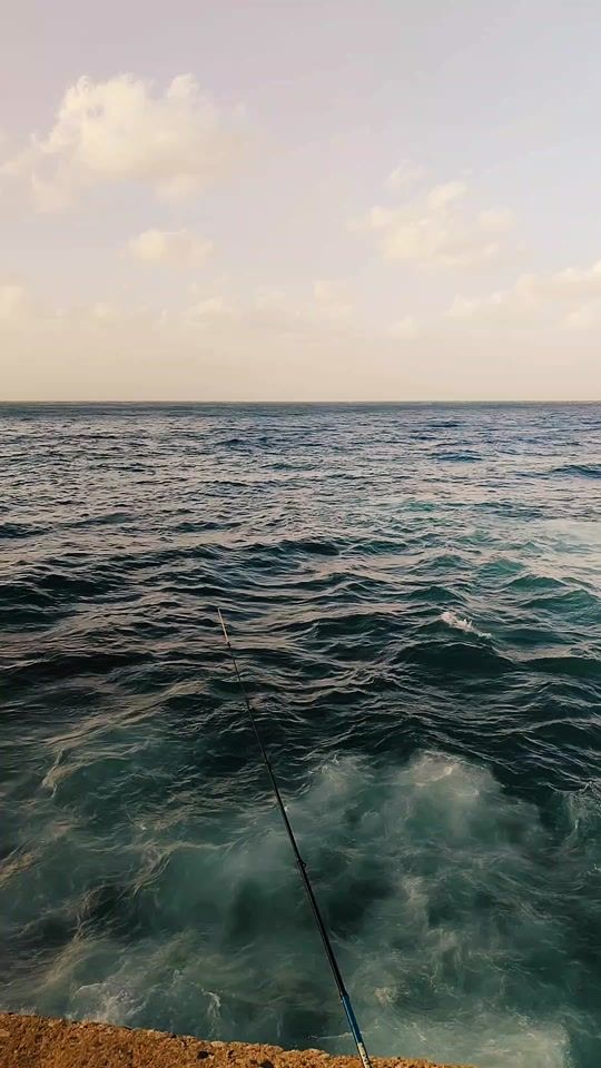 TikTok video thumbnail by user7266752674160