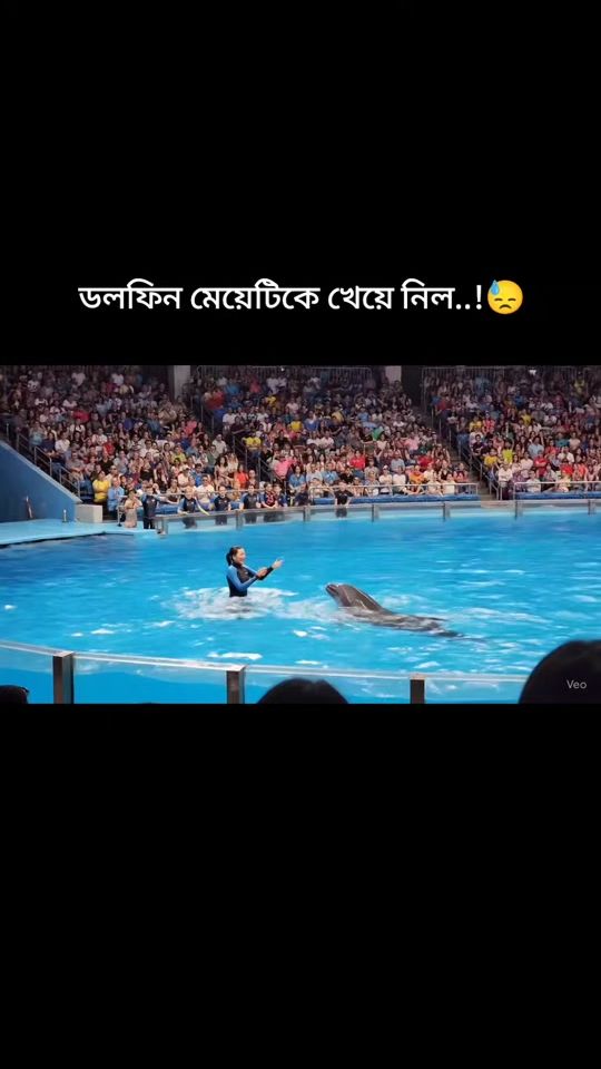 TikTok video thumbnail by salman.ff02