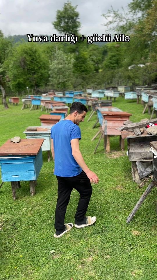 TikTok video thumbnail by ovala__bali