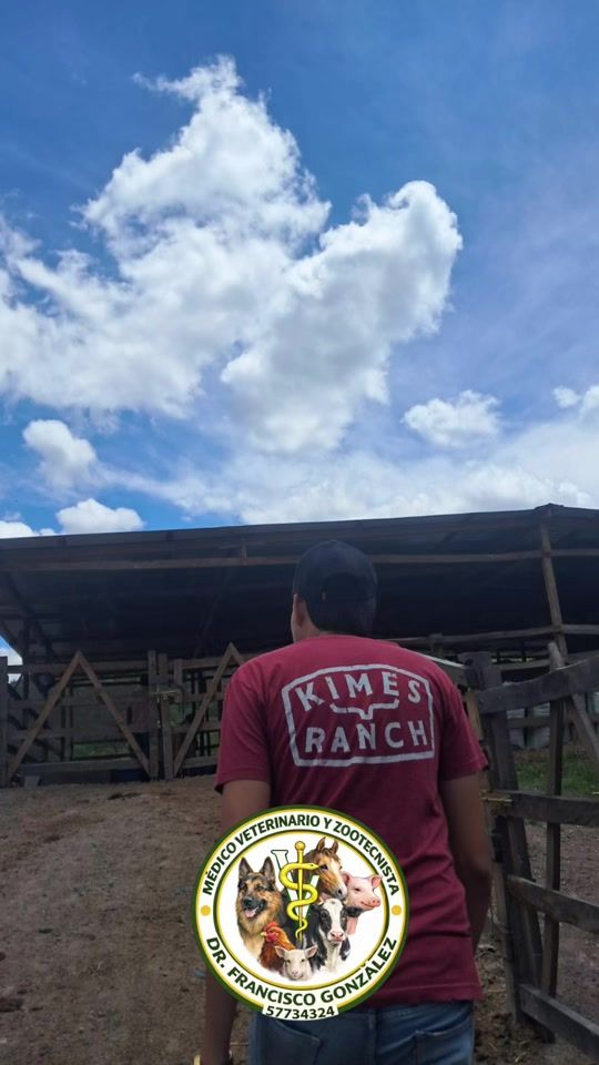 TikTok video thumbnail by fjaviergm_505