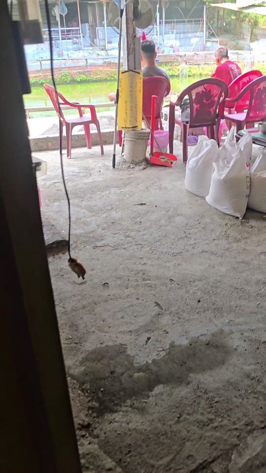 TikTok video thumbnail by 306lg8