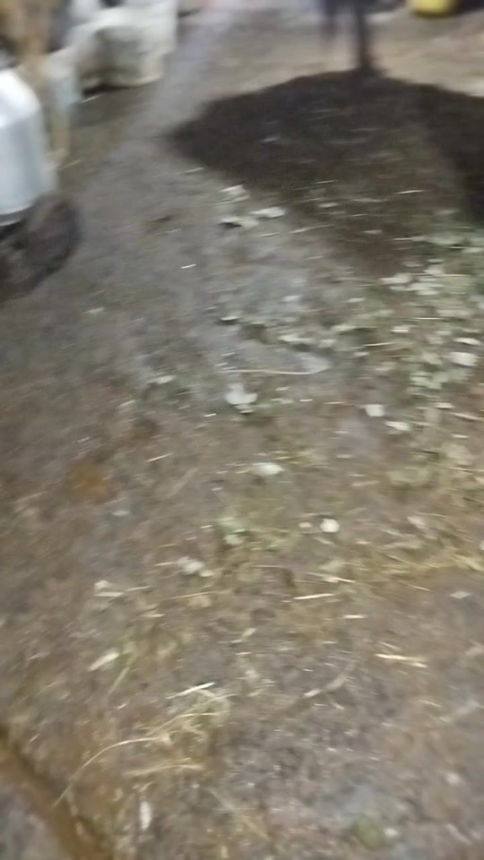 TikTok video thumbnail by ahcanhahasoun