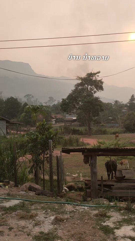 TikTok video thumbnail by architecture287