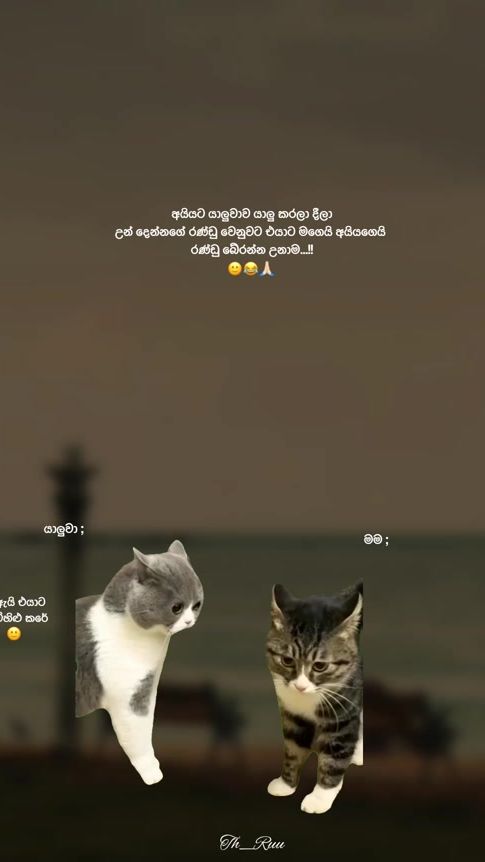 TikTok video thumbnail by tharuu__page