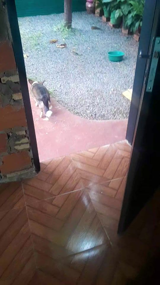 TikTok video thumbnail by user028836537