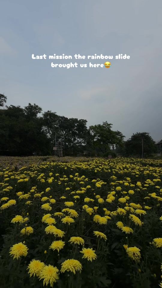 TikTok video thumbnail by ___kapshe