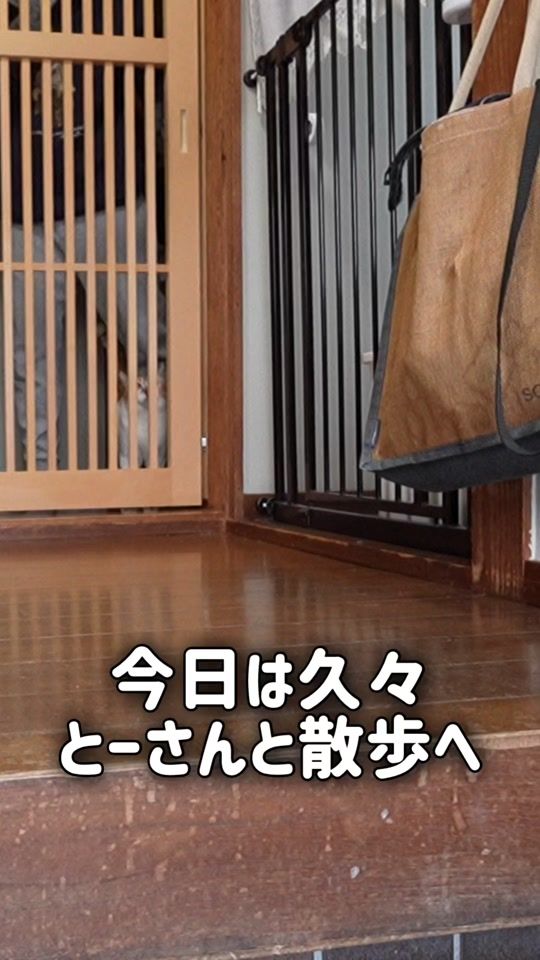 TikTok video thumbnail by chacha_neco