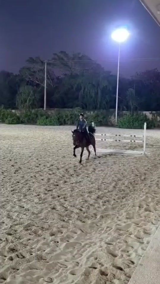TikTok video thumbnail by regina_eq2