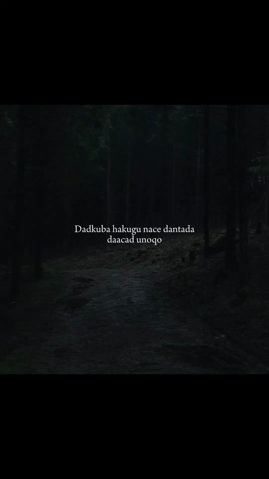 TikTok video thumbnail by 911_emergencyy