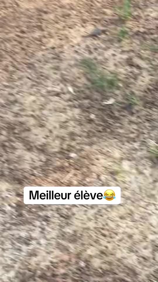 TikTok video thumbnail by sylla.tane