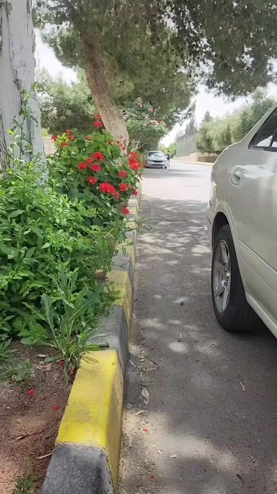 TikTok video thumbnail by firas...55