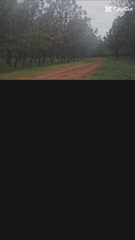 TikTok video thumbnail by freddyfranco996
