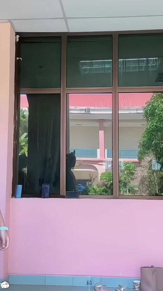 TikTok video thumbnail by typicallfey