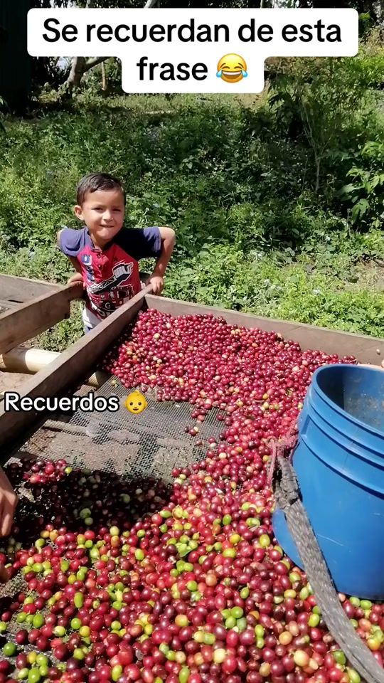 TikTok video thumbnail by elviejon383