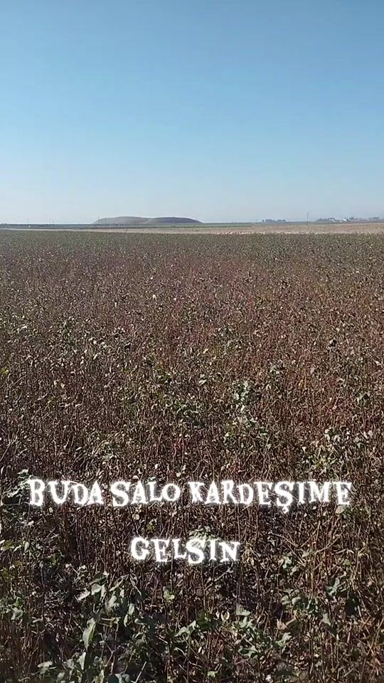 TikTok video thumbnail by abuhamisyayar
