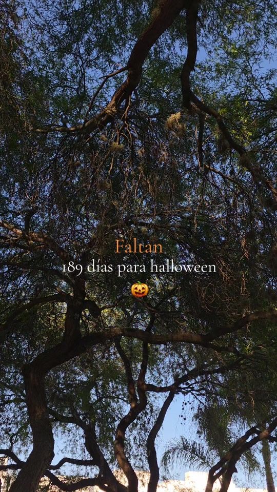 TikTok video thumbnail by _michvalero