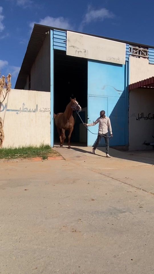 TikTok video thumbnail by mlqatmpagpy