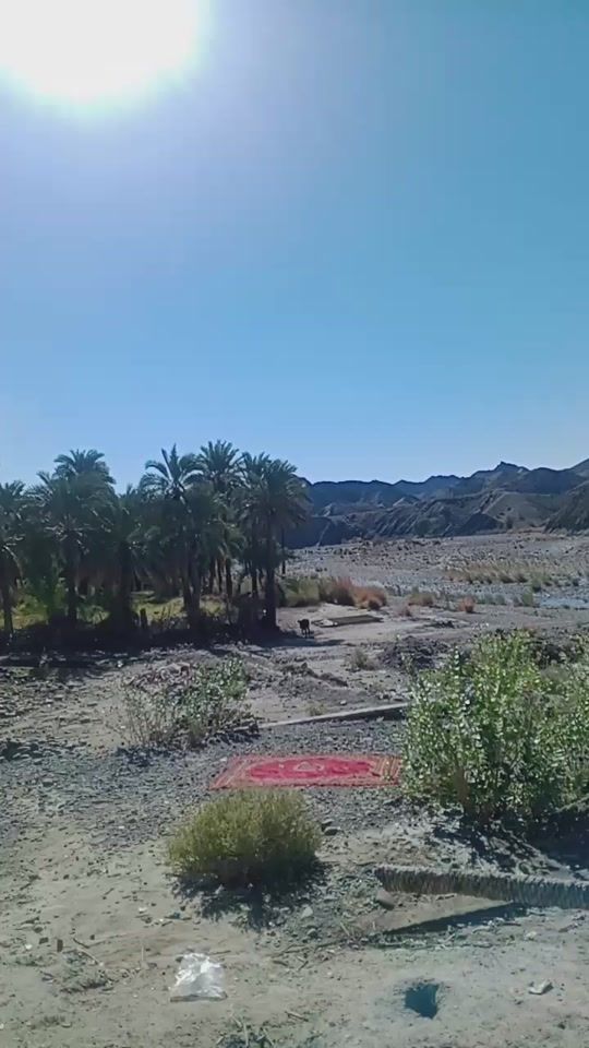 TikTok video thumbnail by fatima_raesi