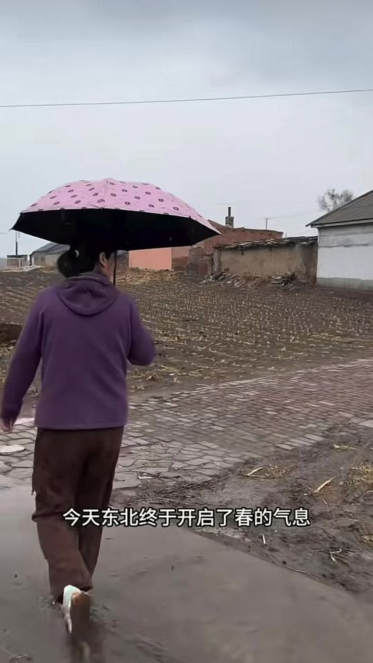 TikTok video thumbnail by ddiaarjo408