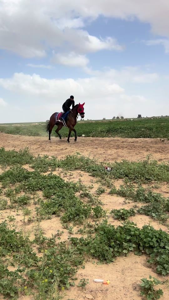 TikTok video thumbnail by _magd_1