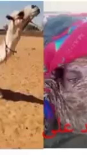 TikTok video thumbnail by user5255555440394