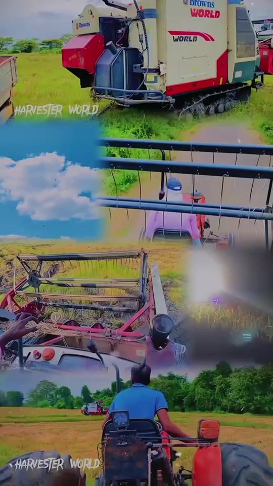 TikTok video thumbnail by _harvester_world